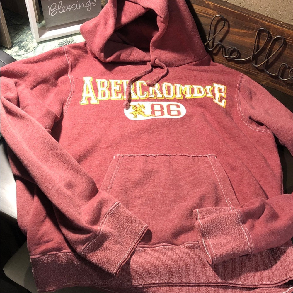 Abercrombie & Fitch Men's Hooded Pullover in Dusty Rose